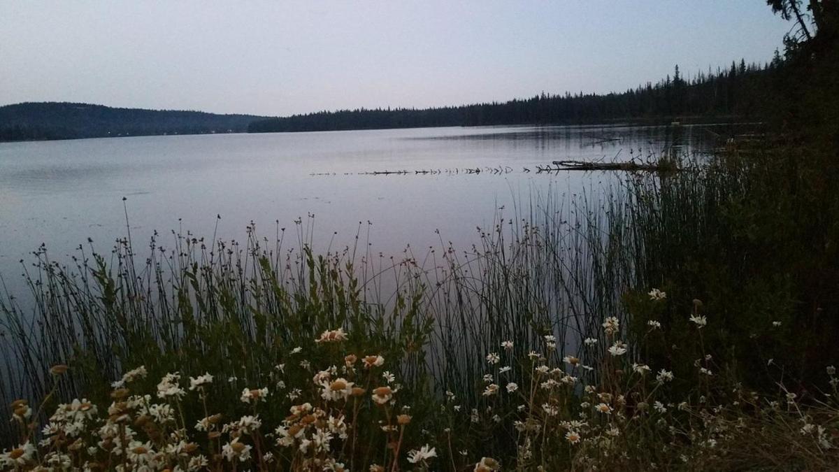 Lac Le Jeune Nature Resort Logan Lake Ngoại thất bức ảnh